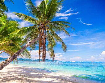 3D Beach and Coco  MM60 Removable Commercial Wallpaper Self Adhesive Trader Business Wallpaper Extra Large Peel & Stick  AJ WALLPAPERS