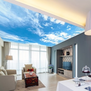 3D zonnig weer CA3624 plafondbehang verwijderbare zelfklevende behang grote peel & stick behang muurschildering AJ WALLPAPERS