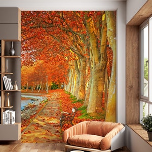 3D Herbst Wald L1391 Ablösbare Tapete selbstklebende Tapete Extra große Peel & Stick Wallpaper Tapete Wandbild AJ HINTERGRUNDBILDER