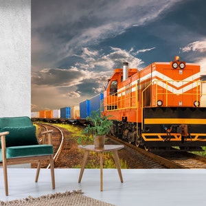 May include: An orange and white freight train with multiple boxcars travels on a railroad track through a grassy field under a cloudy sky.