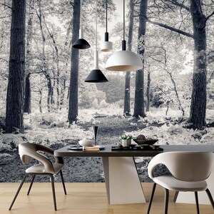 3D nostalgische Winter Wald A8029 abnehmbare Tapete selbstklebend Tapete große Peel & Stick Tapete Tapete Wandbild Assaf Frank