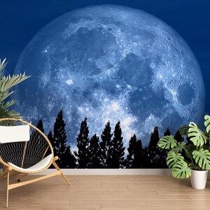 3D Big Vollmond L2747 Abnehmbare Tapete Selbstklebende Tapete Extra Großes Wandbild zum Abziehen und Aufkleben AJ WALLPAPERS