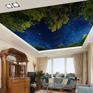 3D Look At The Stars CA297 Ceiling Wallpaper Removable Self Adhesive Wallpaper Large Peel & Stick Wallpaper Wallpaper Mural AJ WALLPAPERS