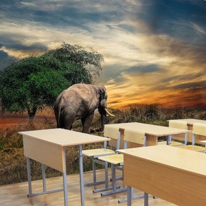 3D Lonely Elephant L210 Papier peint amovible Papier peint auto-adhésif Extra Large Peel & Stick Papier peint Papier peint Mural AJ WALLPAPERS