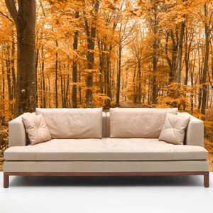 3D Herbst Wald Traum R4700 abnehmbare Tapete selbstklebend Tapete extra groß Peel & Stick Tapete Tapete Wandbild AJ WALLPAPERS