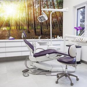 3D Wald Sonnenlicht L551 abnehmbare Tapete selbstklebende Tapete extra groß Peel & Stick Tapete Wandbild AJ TAPETEN