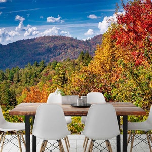 3D Cool Autumn Mountain Forest A4308 abnehmbare Tapete selbstklebende Tapete große Peel & Stick Tapete Tapete Wandbild Beth Sheridan