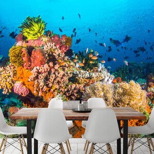 3D Colored Coral Group L1541 Removable Wallpaper Self Adhesive Wallpaper Extra Large Peel & Stick Wallpaper Wallpaper Mural AJ WALLPAPERS