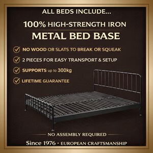 Industrial Metal Bed Frame 160x200 180x200 ROXANI Minimal Loft Design image 4