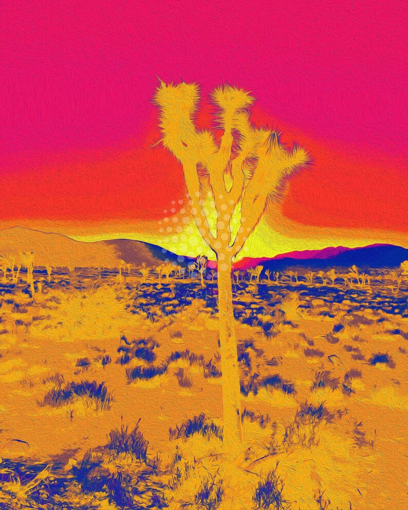 Set of 3 Joshua Tree Series II