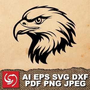 PNG SVG File Eagle Hawk Bird Animal Vector Graphic Silhouette Shape Clipart Digital Art Illustration