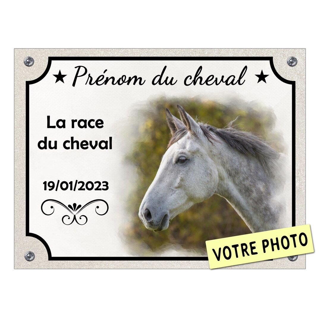Plaque de box cheval personnalisée panneau d'écurie pancarte équestre motif aquarelle main image 1