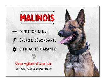 Plaque humour Malinois attention au chien vigilant et sournois panneau je monte la garde en aluminium berger belge