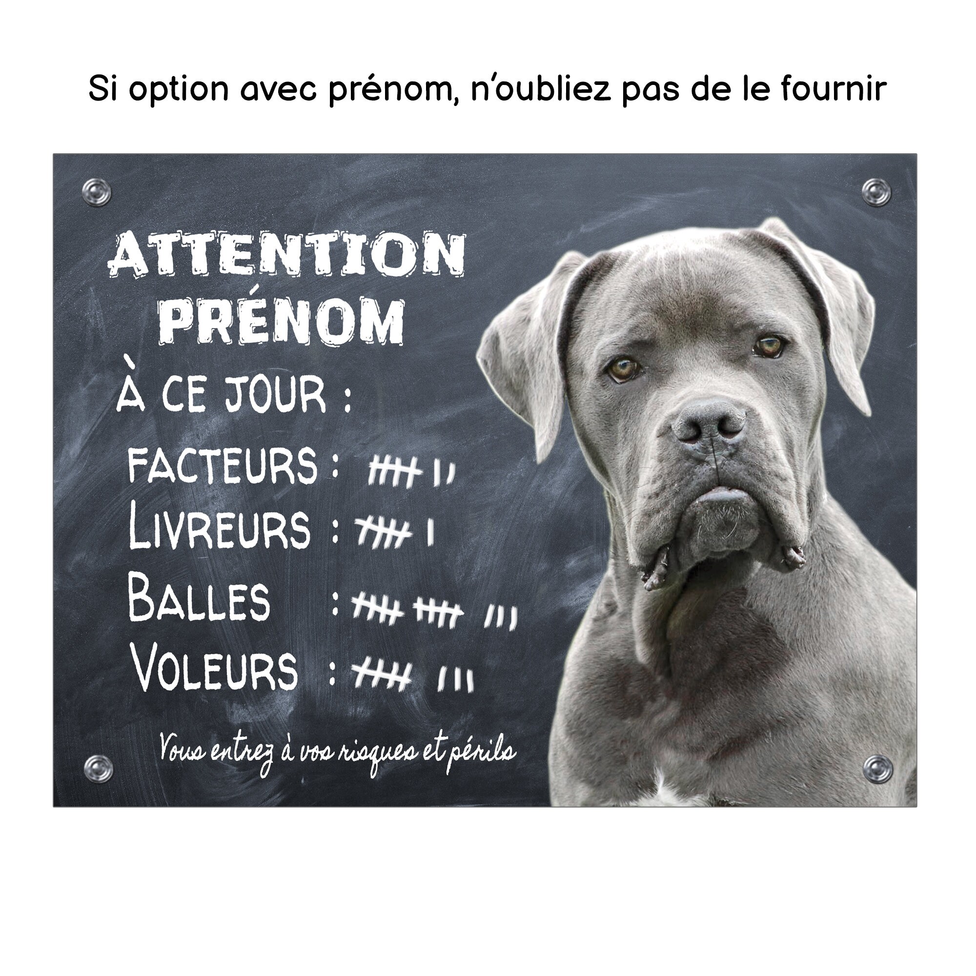 Plaque chien drôle Cane Corso pancarte attention au chien humour panneau  monte la garde aluminium -  France