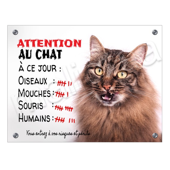 Plate Beware of the cat humor to date sign door panel and aluminum gate stands guard Plate Beware of the cat humor to date sign door panel and aluminum gate stands guard