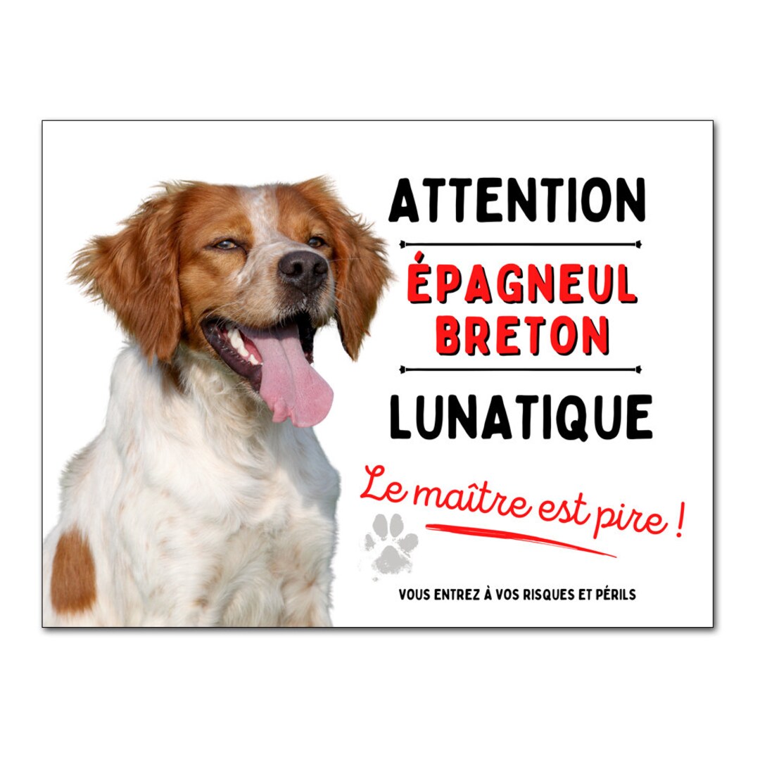 Breton Spaniel Plaque Humor Panel Attention to the Whimsical Dog ...