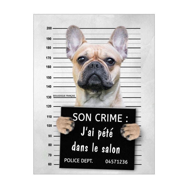 Plaque humour crime prisonnier chien Bouledogue Français panneau de porte d'entrée et portail pancarte en aluminium chien 15x20cm