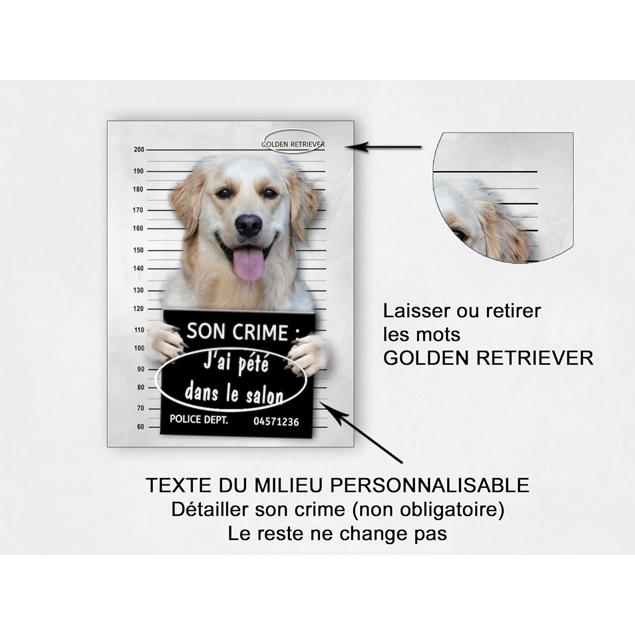 Plaque Humour Golden Retriever - Panneau Métal Aluminium 15x20cm | Décoration Murale Drôle Pour Propriétaires De Chien