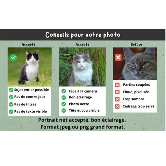 Plaque murale décorative j'habite chez mon chat sur