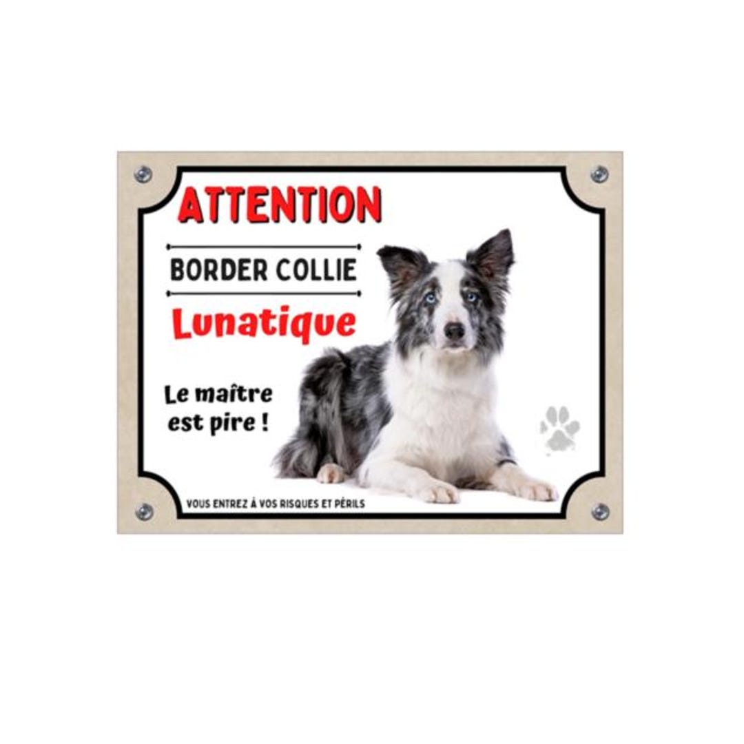 Targa Metallo 'Border Collie Attenti Al Cane' - Dimensioni 15x20 Cm Per Esterni - Foto 9