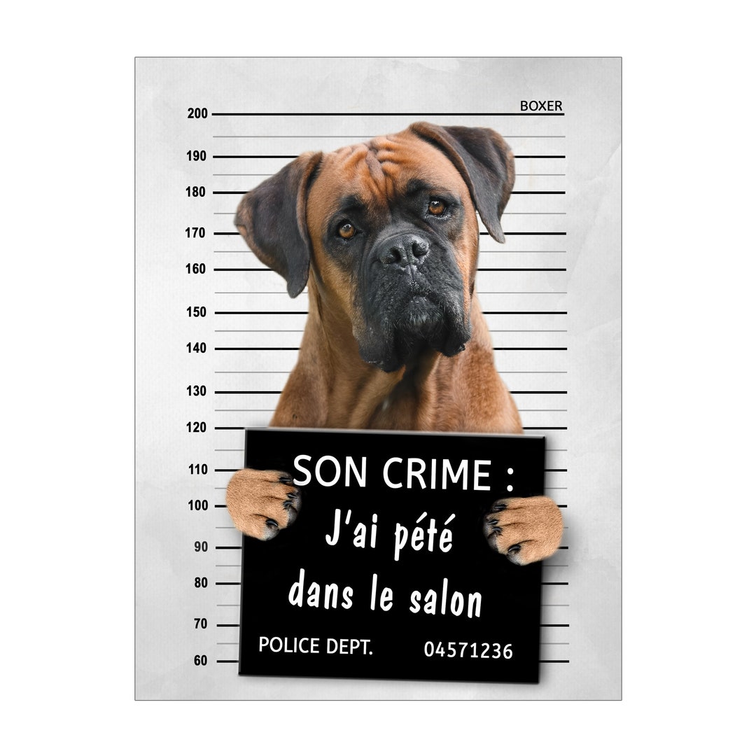 Panneau Humour Plaque Chien Carlin Lunatique - Monte La Garde Aluminium 15x20cm