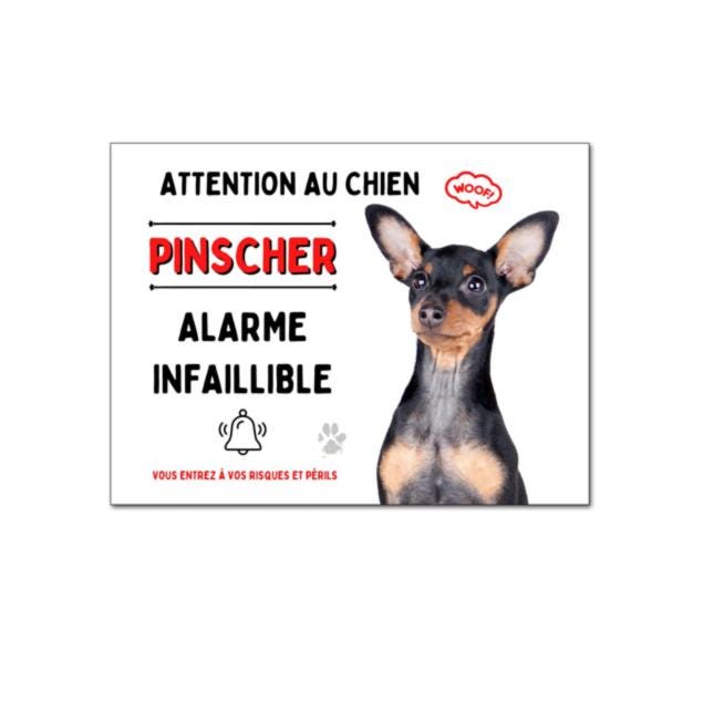 Cartello 'Attenti Al Cane' Australian Sheperd | Targa Metallo 15x20 Cm - Foto 9