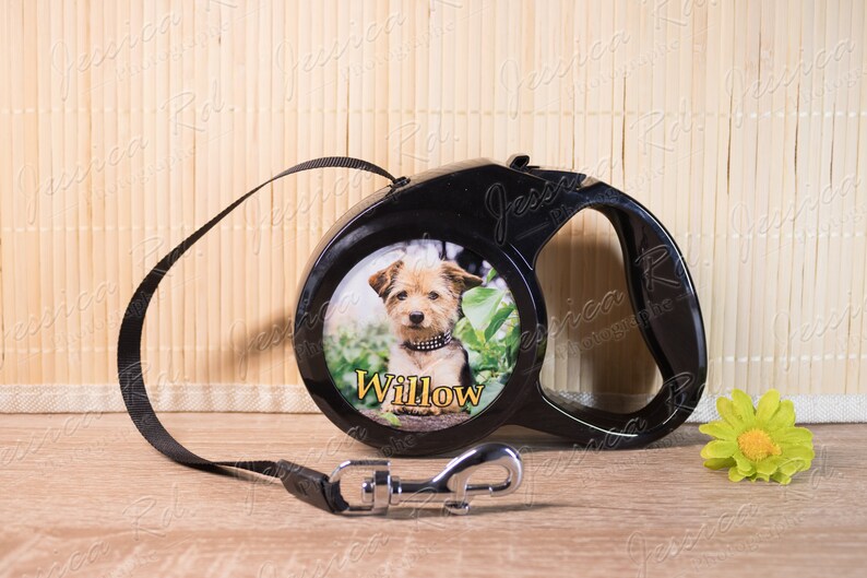 personalised pet accessories