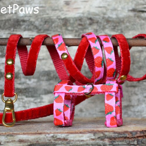 Ferret Harness Set With Leash Strawberry Etsy