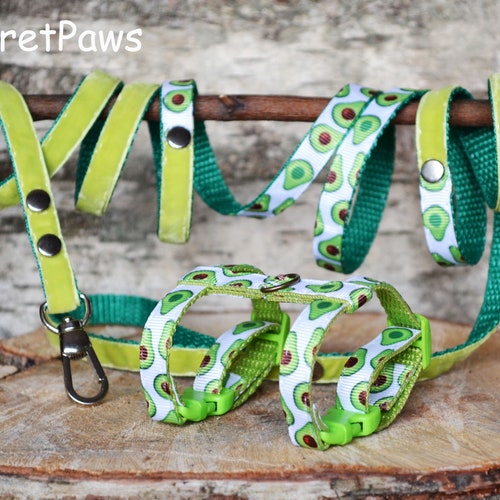 Ferret Harness Set With Leash Ladybug Red Adjustable Etsy