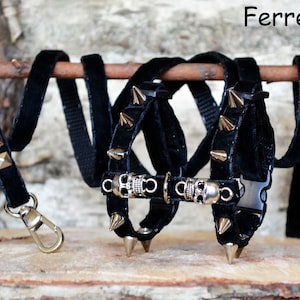 Ferret Harness Set With Leash Black Metal Skull Spikes Studs