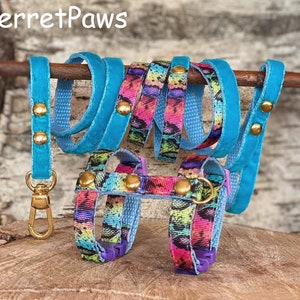Ferret Harness Set With Leash Rainbow