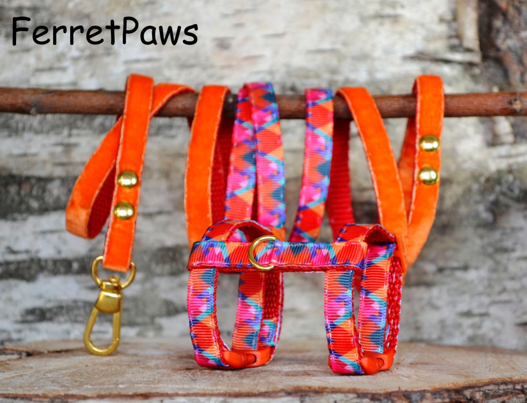 Ferret Harness Set With Leash Abstract Orange Red Adjustable Etsy UK
