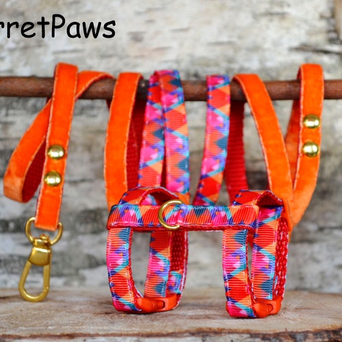 Ferret Harness Set With Leash Ladybug Red Adjustable Etsy