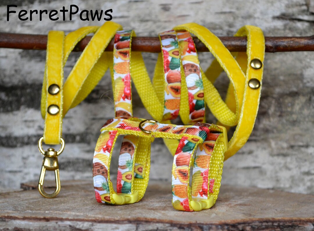 Ferret Harness Set With Leash Exotic Fruits Adjustable Etsy UK