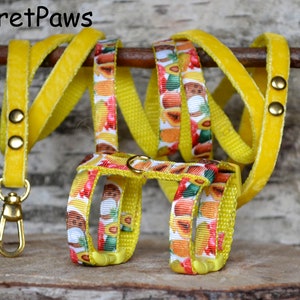 Ferret Harness Set with Leash Exotic Fruits Adjustable