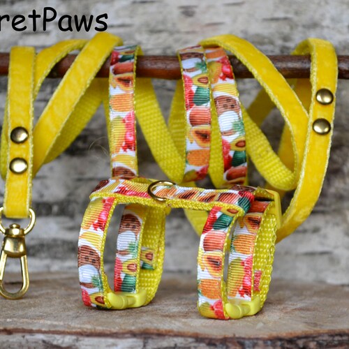Ferret Harness Set With Leash Lead Flowers Etsy