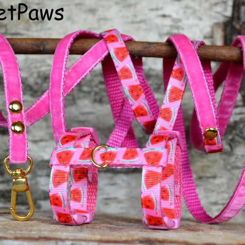 Ferret Harness Set With Leash Strawberry Etsy