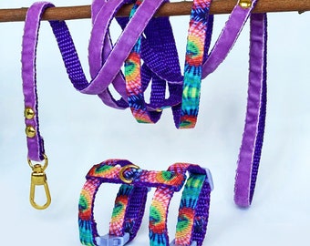 Ferret Harness Set with Leash Multicolor Rainbow Abstract