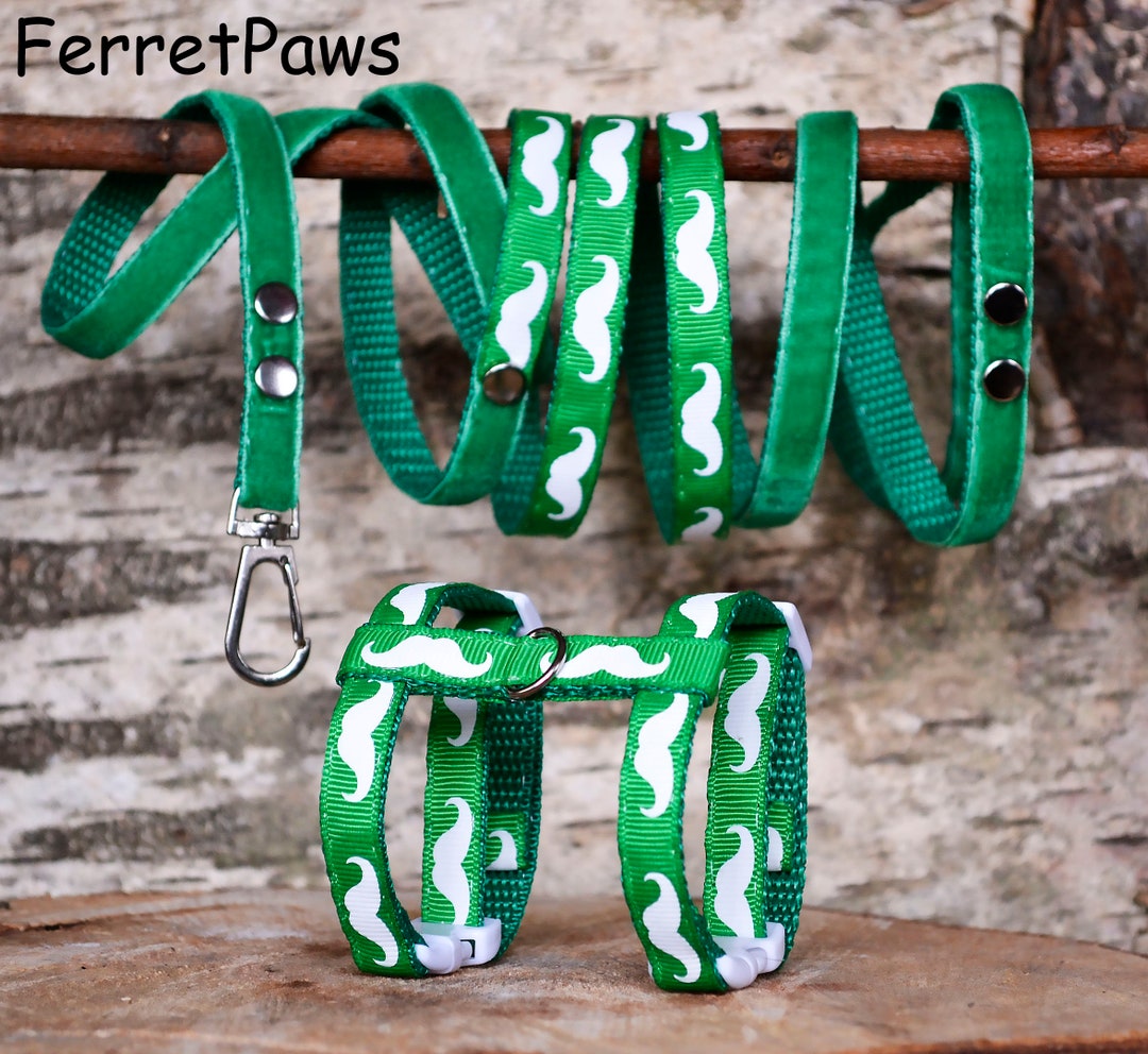 Ferret Harness Set With Leash Green Mustache Adjustable Etsy