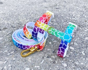 Ferret Harness Set Rainbow