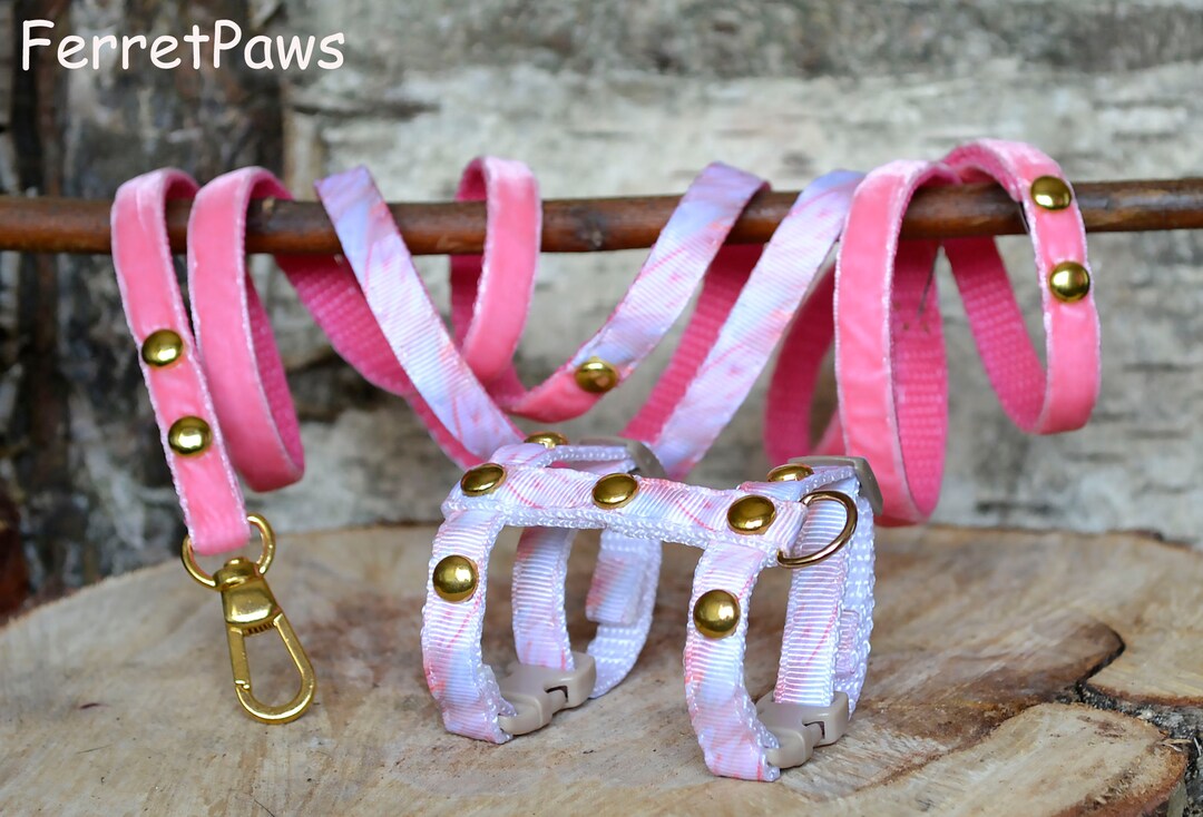 Ferret Harness Set With Leash Marble Etsy