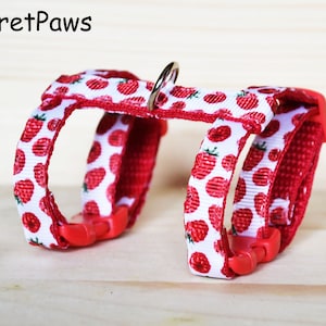 Ferret Harness Raspberry