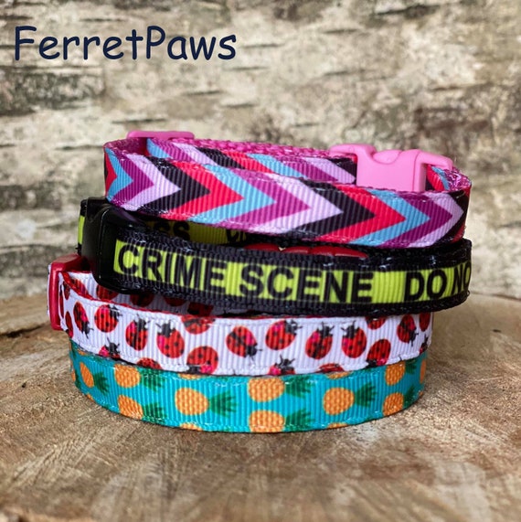 Pet Collars Cat Dog Ferret Rat Rabbit Pig Ladybug Pineapple | Etsy