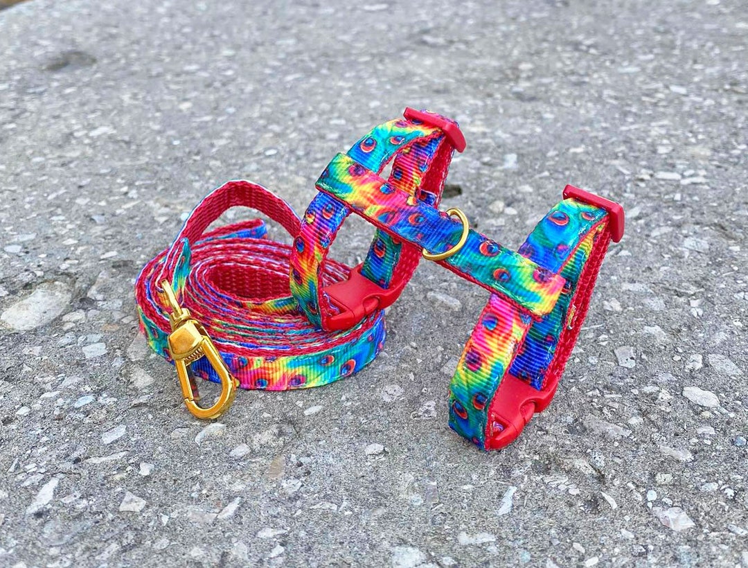 ferret-harness-set-peacock-etsy