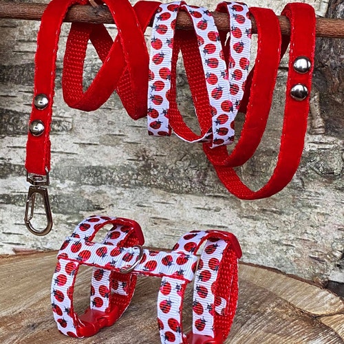 Ferret Harness Set With Leash Marble Etsy