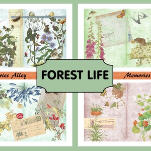 Ephemera Digital images, Vintage Scrapbooking paper, Printable journal kit, Mixed media, Ephemera booklets