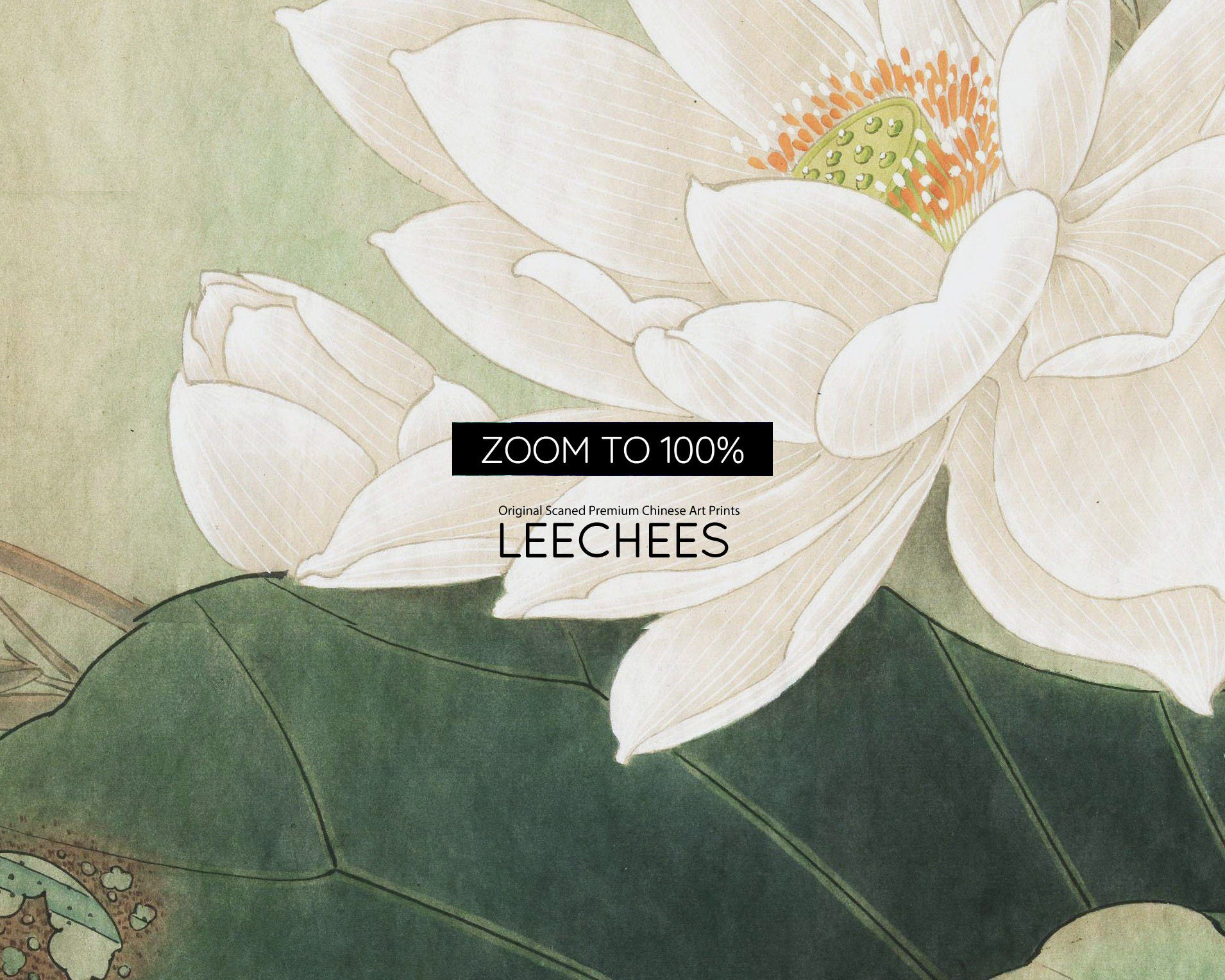 扇　大型　中国画　蓮の花とトンボ il_fullxfull.3642806919_121y.jpg