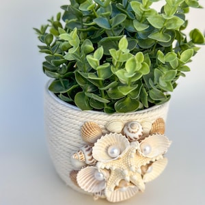 May include: A white planter with a rope-like texture is decorated with seashells and pearls. The planter is filled with a green leafy plant.