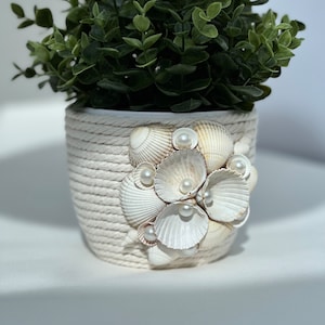 May include: White ceramic planter with a rope design and seashells and pearls attached to the front. The planter is filled with green leafy plants.