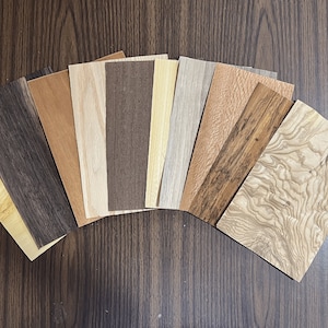Exotic & Domestic Veneer 10 Piece Variety Pack 1/42&quot; Thick
